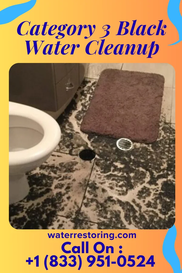 Category 3 Black Water Cleanup in Avon, OH