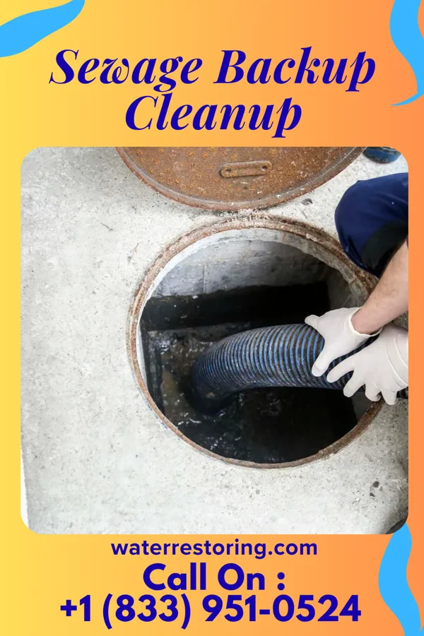 Sewage Backup Cleanup in Avon, OH
