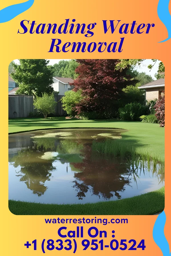 Standing Water Removal in Avon, OH